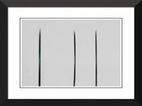 Raven Flat Lashes Single Length