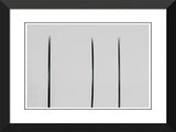 Raven Flat Lashes Single Length