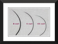 Volume Collection Mixed Tray